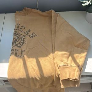 American Eagle Outfitters Tan Crew Neck Sweater
